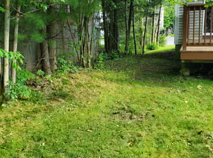 Morranda H.'s Lawn Mowing service result